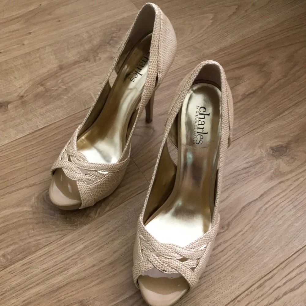 COPY - Charles David shoes